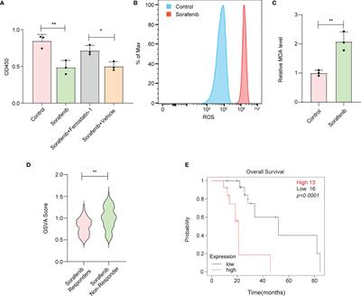 Designer Exosomes for Targeted Delivery of a Novel Therapeutic Cargo to Enhance Sorafenib-Mediated Ferroptosis in Hepatocellular Carcinoma